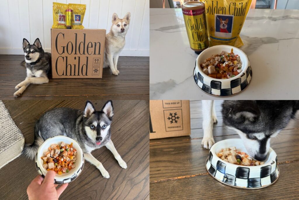 Golden Child Dog Food Review My Honest Pros & Cons