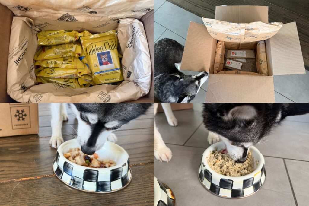 Golden Child and The Farmer's Dog boxes and food