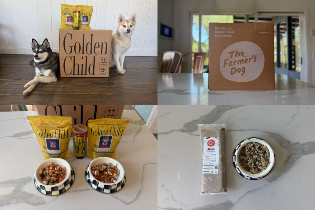 Golden Child vs The Farmer's Dog (2026) Fresh Dog Food Review