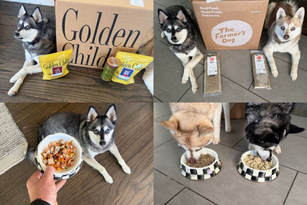 Golden Child vs The Farmer's Dog (2026) Which Fresh Food Is Worth It