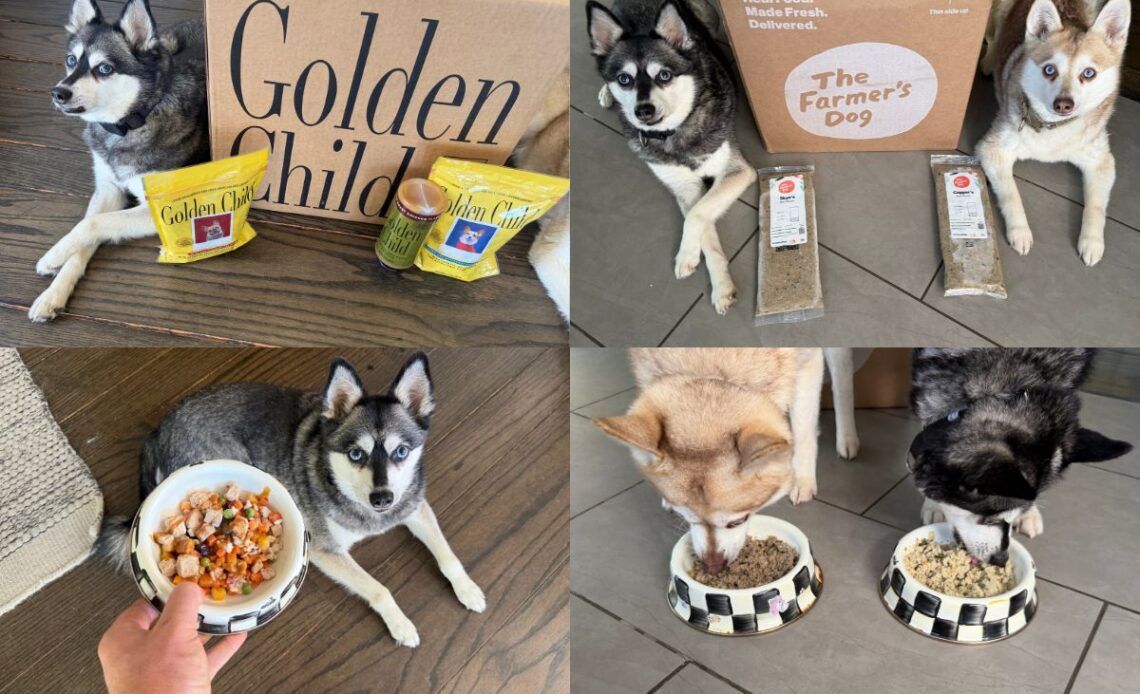 Golden Child vs The Farmer's Dog (2026) Which Fresh Food Is Worth It