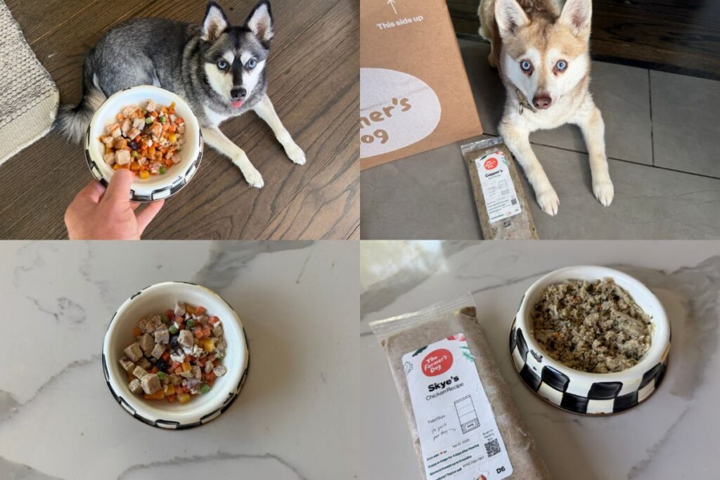 Golden Child vs The Farmer's Dog Comparison