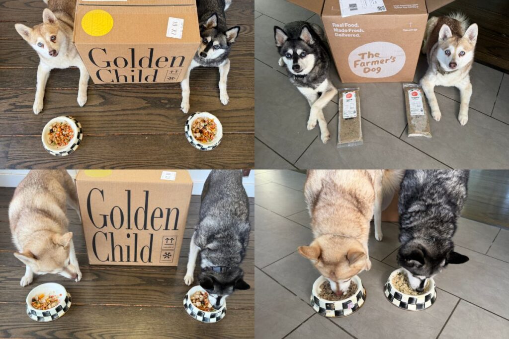 Golden Child vs The Farmer's Dog Final Verdict
