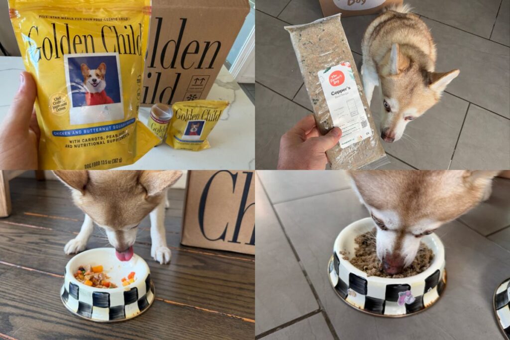 Golden Child and Farmer's Dog recipes and food