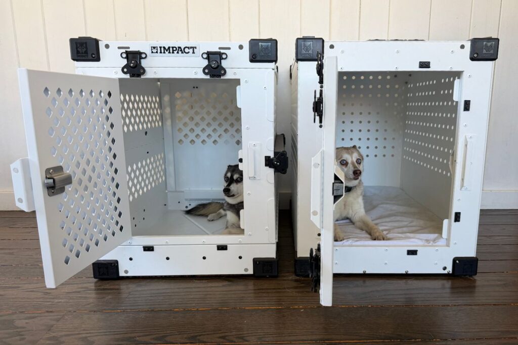 Impact Collapsible And High Anxiety Crates Klee Kai Inside