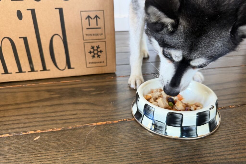 Skye Eating Golden Child In Bowl