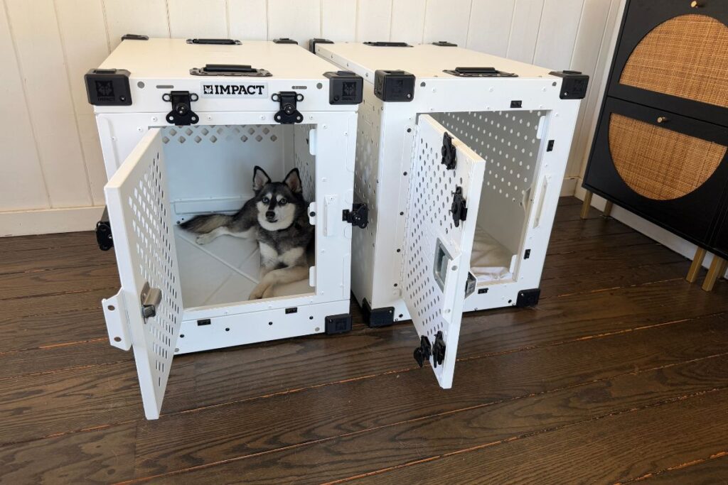 Skye Inside Collapsible Crate Next To High Anxiety Crate