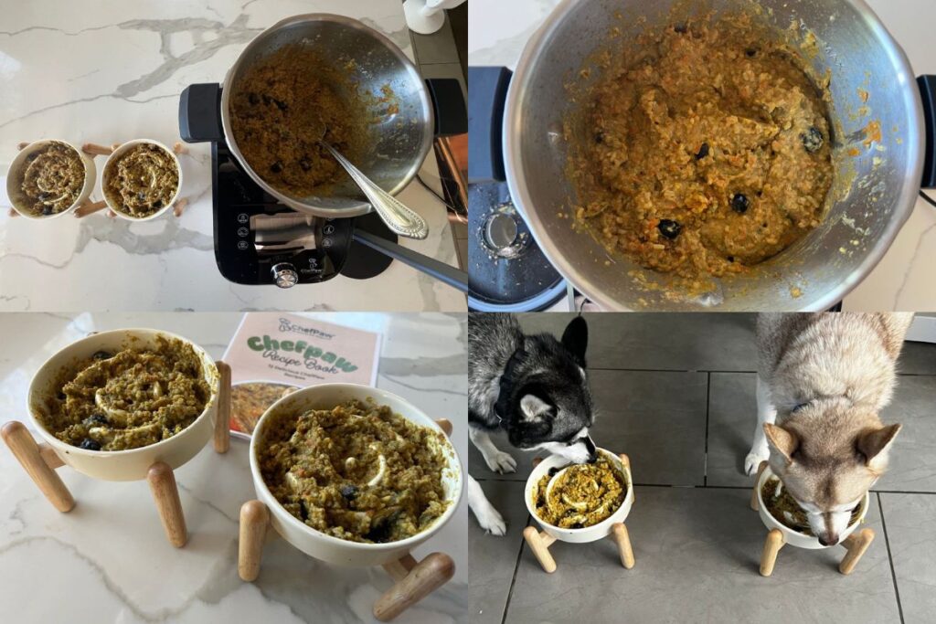 ChefPaw Dog Food Review