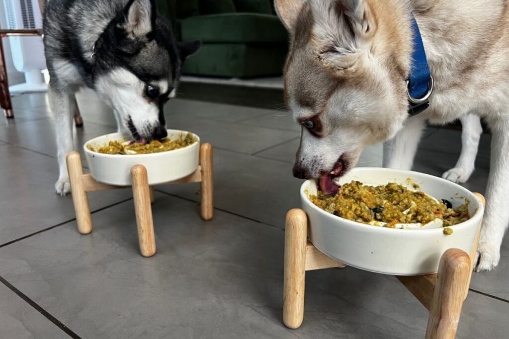 Copper And Skye Eat ChefPaw Dog Food