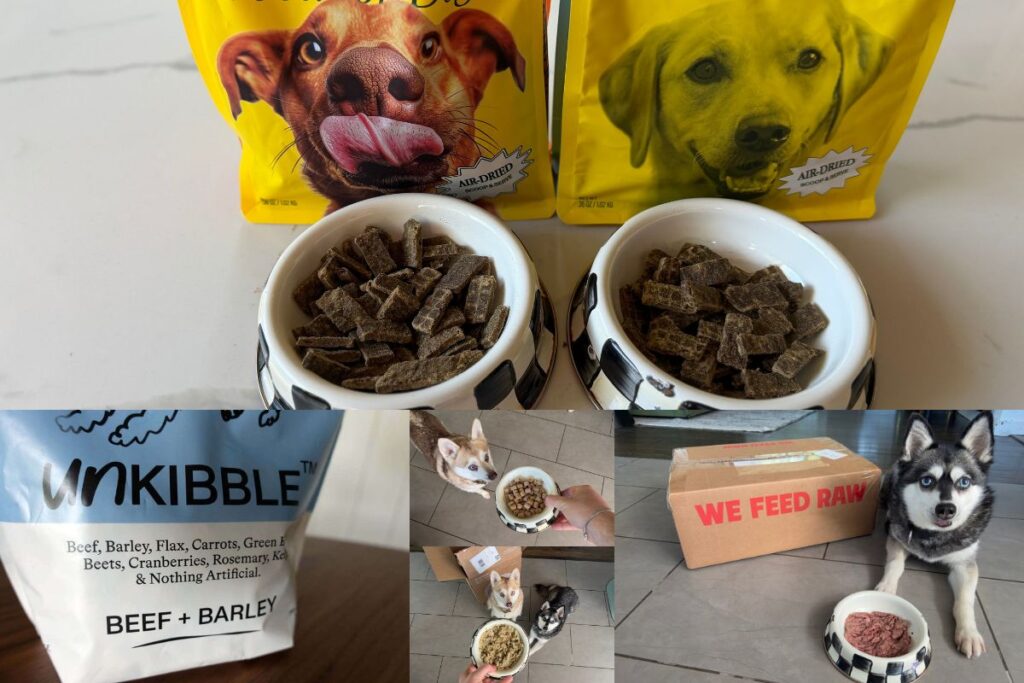 Best Ollie Dog Food Alternatives
