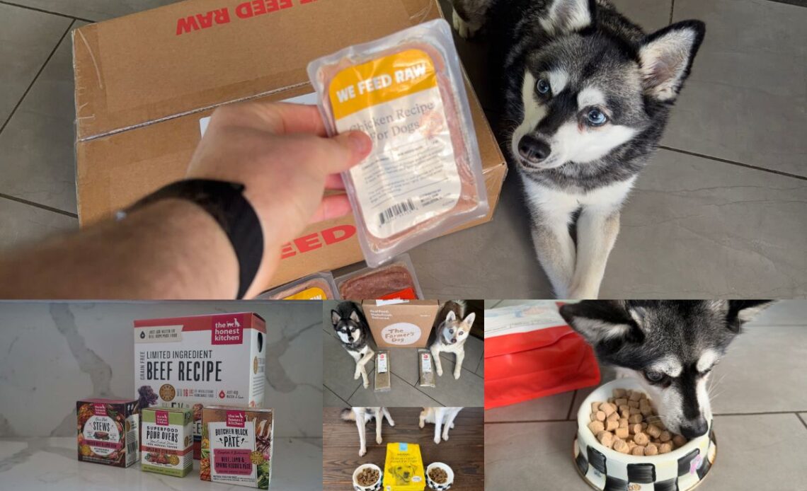 Best UnKibble Dog Food Alternatives