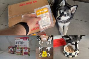 Best UnKibble Dog Food Alternatives