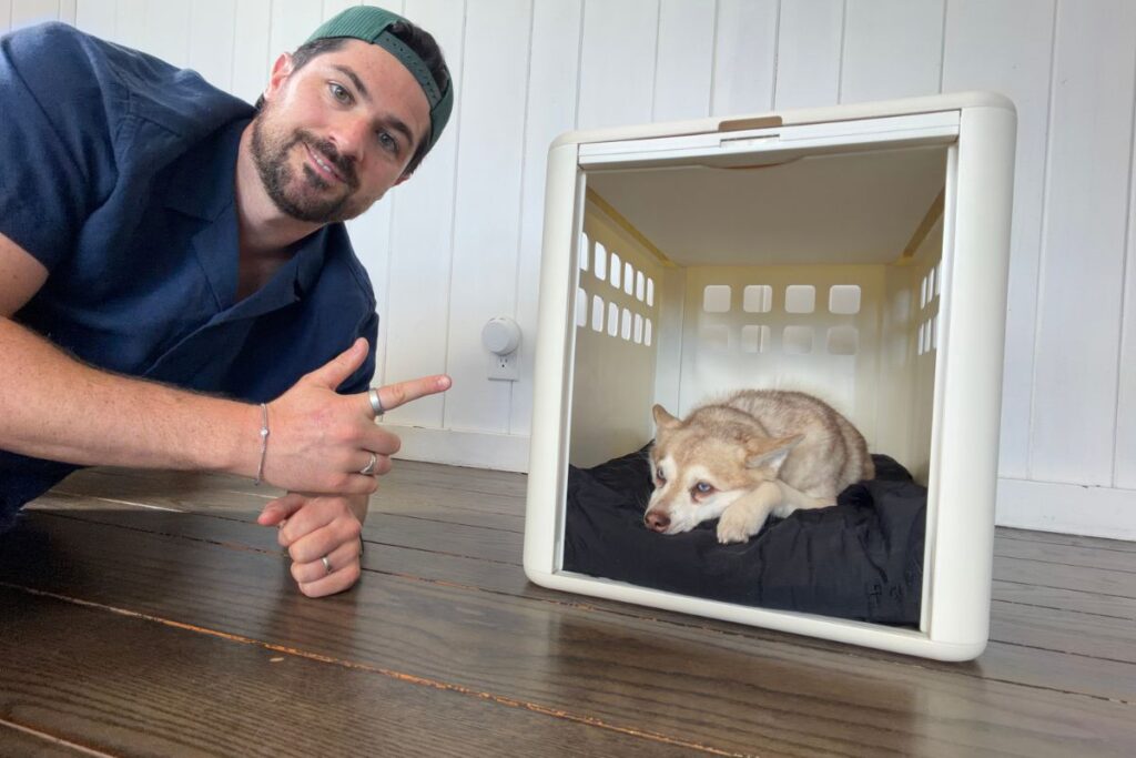 Fable Essential Dog Crate