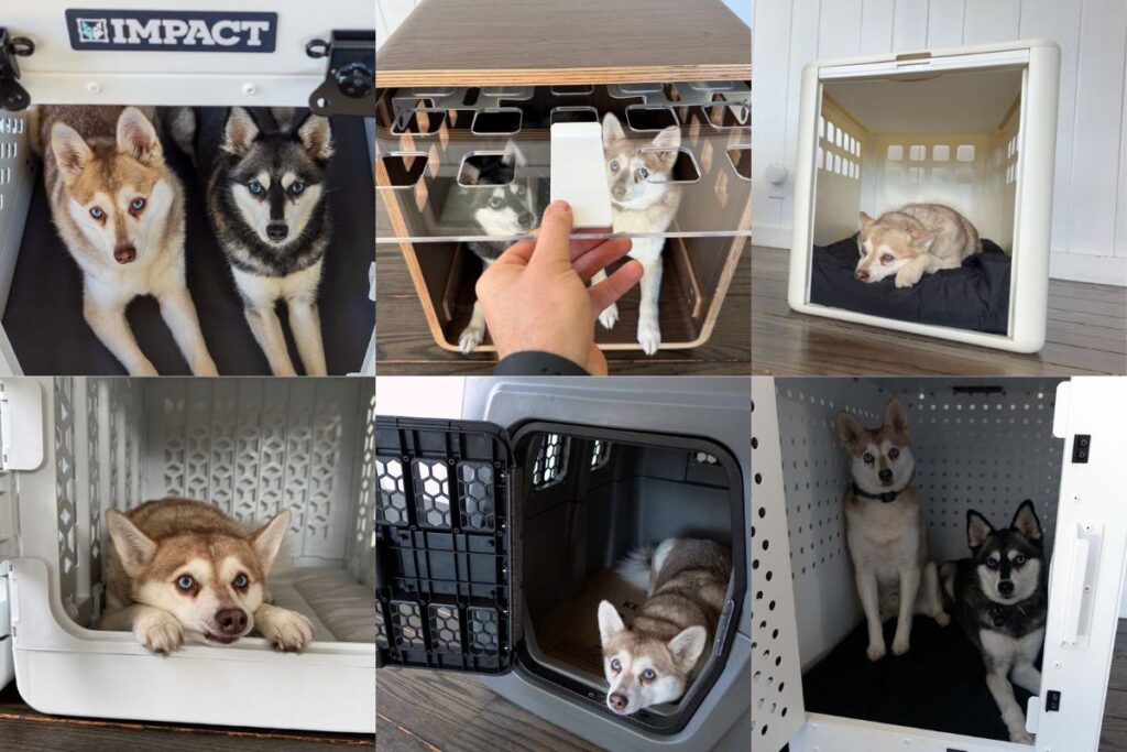My ultimate dog crate comparison guide