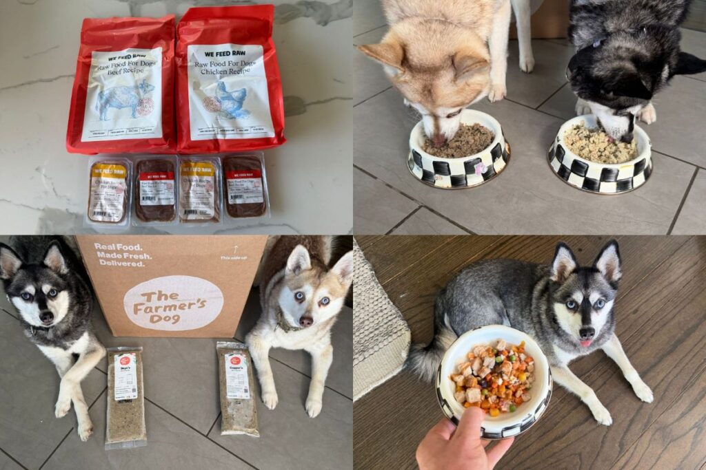Best JustFoodForDogs Alternatives