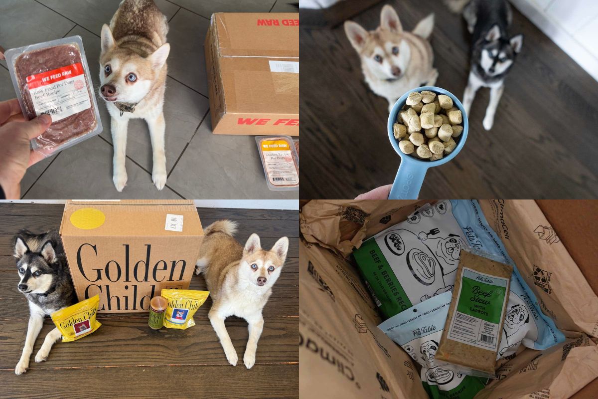 JustFoodForDogs Alternatives