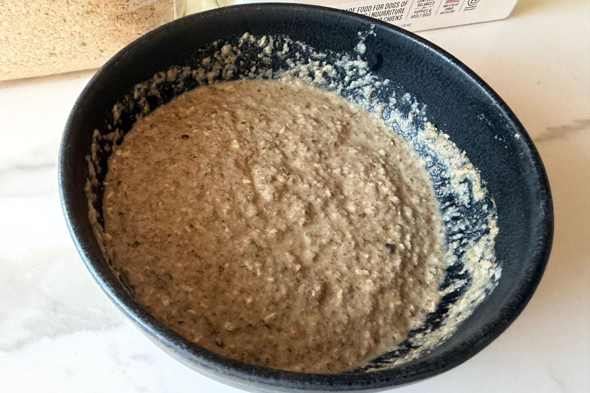The Honest Kitchen Wholemade Oatmeal Texture