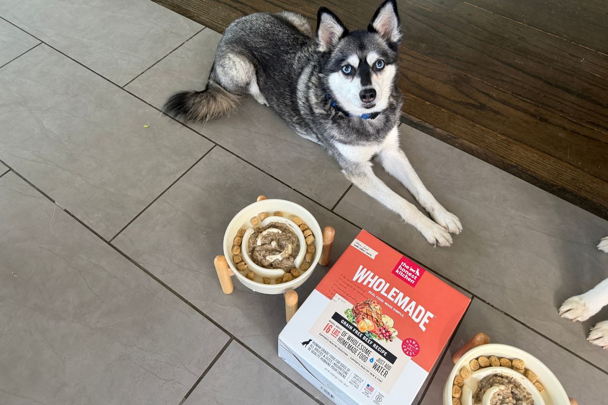 The Honest Kitchen Wholemade Skye