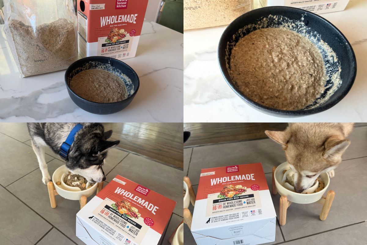 The Honest Kitchen Wholemade
