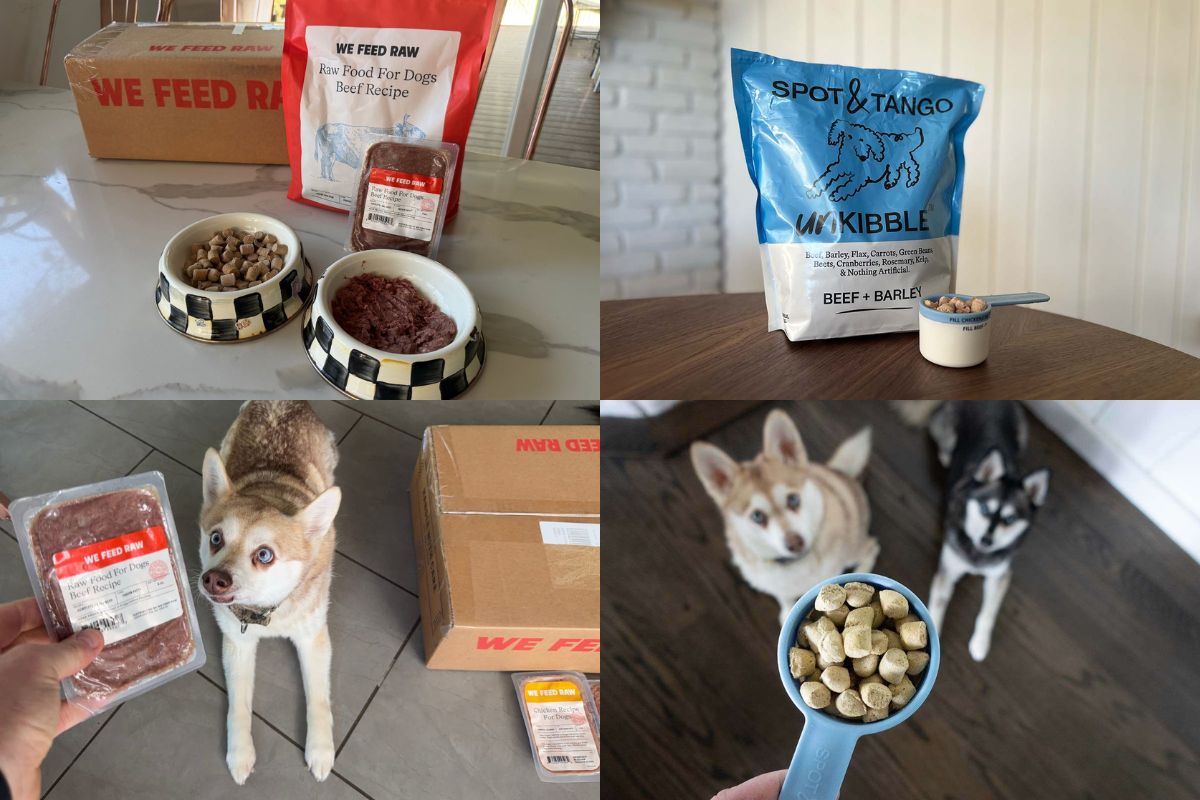 UnKibble vs We Feed Raw Review